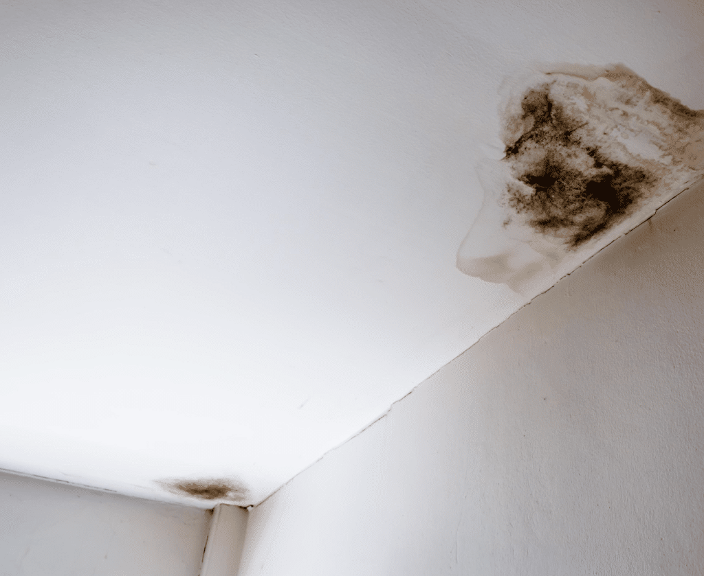 Ignoring Roof Leaks: 8 Hidden Dangers 1 uncover the hidden perils of ignoring roof leaks. take action with advantage roofing's reliable solutions. call us now!